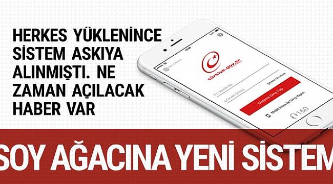 Soy Ağacı Ne Zaman Aktif Olacak?