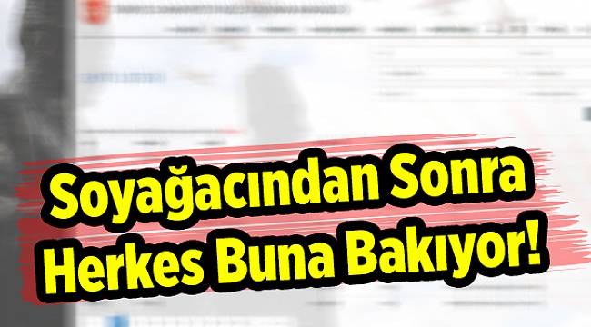 Soyağacından Sonra Herkes Buna Bakıyor!