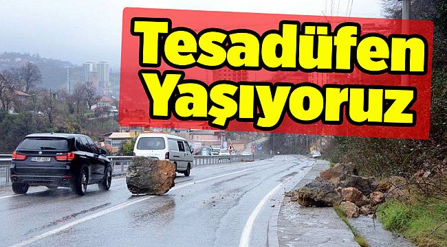 Tesadüfen Yaşıyoruz