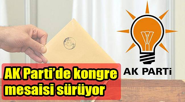 AK Parti’de kongre mesaisi sürüyor