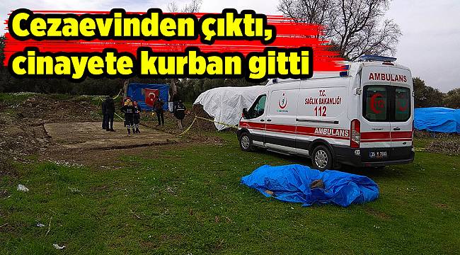 Cezaevinden çıktı, cinayete kurban gitti