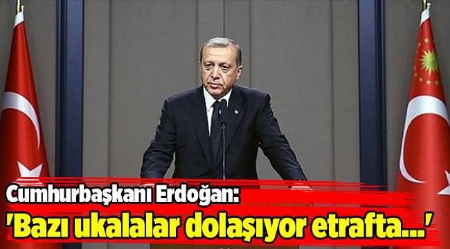 Erdoğan: 'Bazı ukalalar dolaşıyor etrafta...'