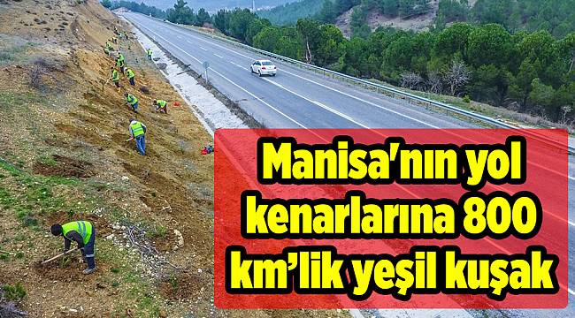 Manisa'nın yol kenarlarına 800 km’lik yeşil kuşak