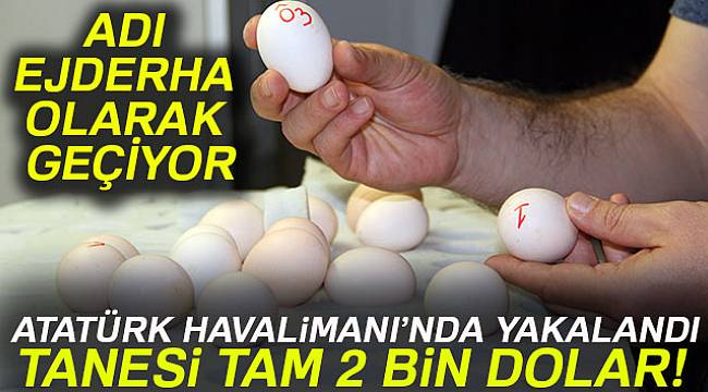 Atatürk Havalimanı'nda 802 adet ejderha tavuğu yumurtası ele geçirildi