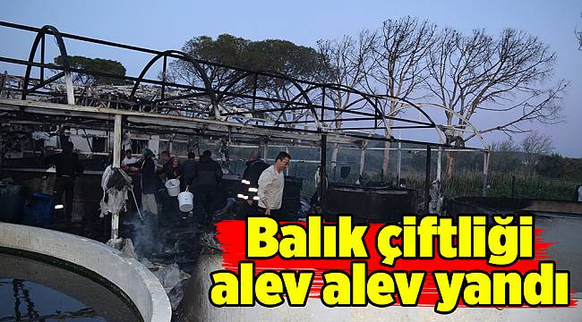 Balık çiftliği alev alev yandı