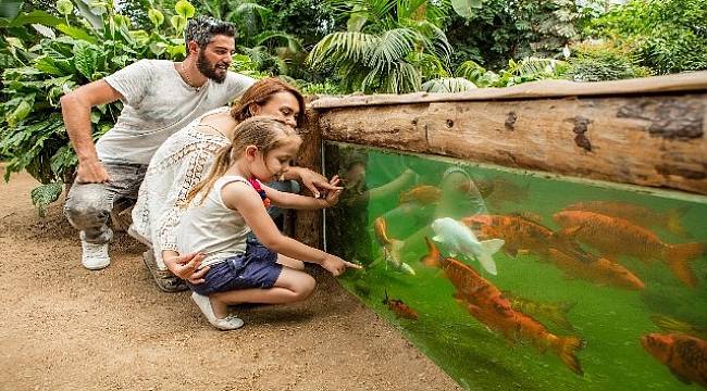 Büyükşehir’den İzmir’in tanıtımı için 3 milyon lira