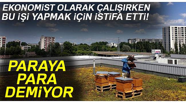 Ekonomist olarak çalışırken bu işi yapmak için istifa etti! Paraya para demiyor