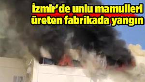 İzmir'de unlu mamulleri üreten fabrikada yangın