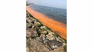 İzmir Körfezi’ndeki kirlilik değil ‘alg patlaması’