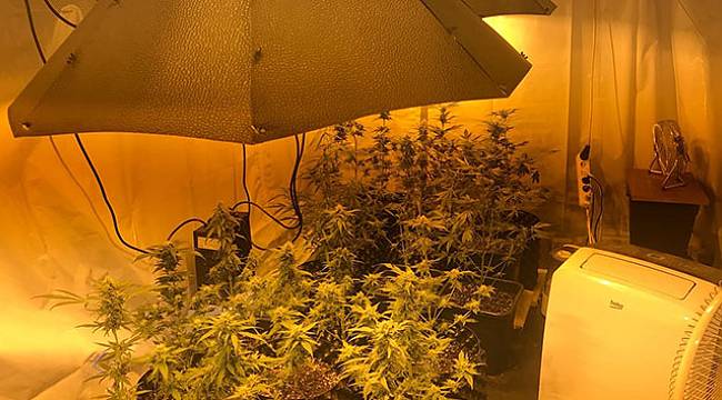 Jandarma gözlerine inanamadı