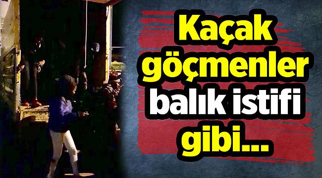 Kaçak göçmenler balık istifi gibi...