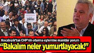 Kocabıyık'tan CHP'nin oturma eylemine manidar yorum