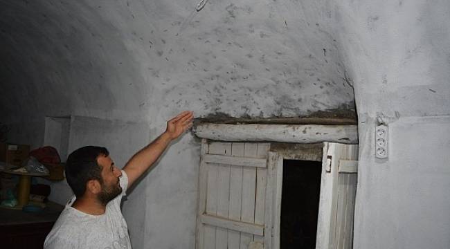 Korkudan uyuyamıyorlar! Hava kararınca kabus başlıyor