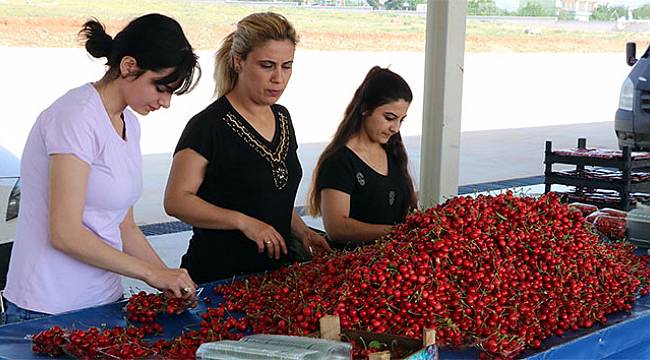 Manisa kirazı pazardaki yerini aldı