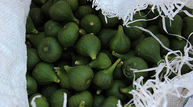 Üreticide yetmiş kuruş rafta 30 TL