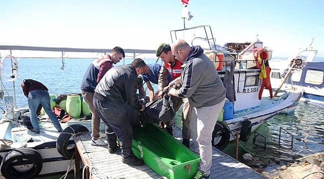 Vurgun yiyen deniz patlıcanı avcısı hayatını kaybetti