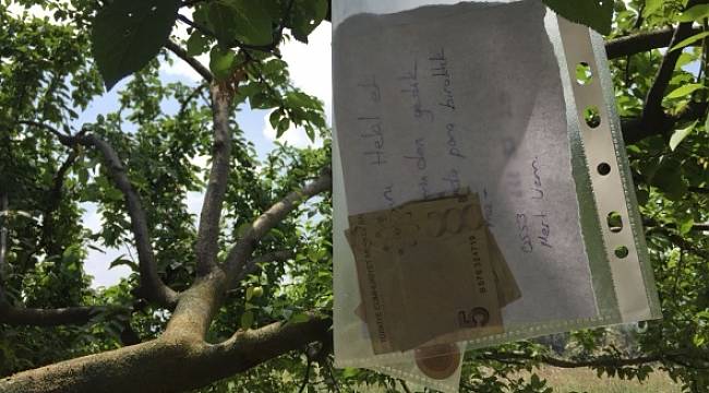 Bahçeden erik yiyen jandarma para ve not bıraktı