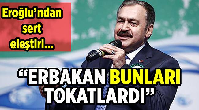 Bakan Eroğlu'ndan sert açıklamalar