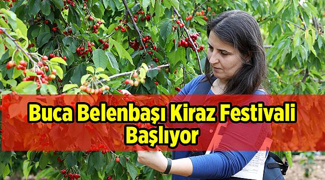 Buca Belenbaşı Kiraz Festivali başlıyor