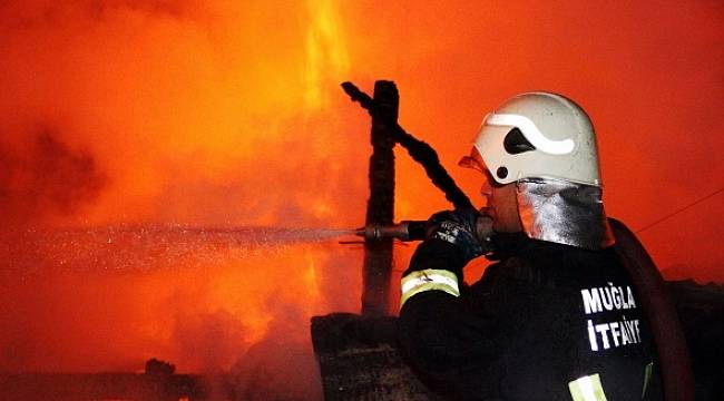 Çıkan yangından yayla evi küle döndü