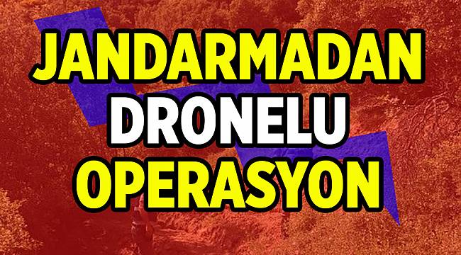 Dağlık Arazideki Hint Keneviri Drone ile Tespit Edildi