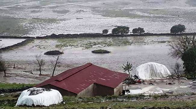 Dere taştı! Hayvanlar telef oldu