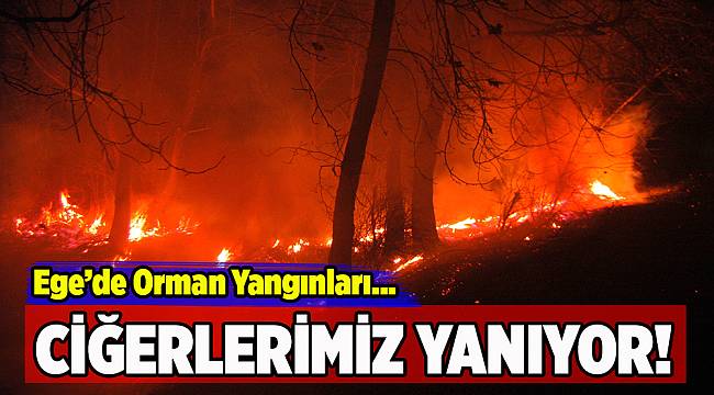 Ege'nin farklı noktalarında orman yangınları...