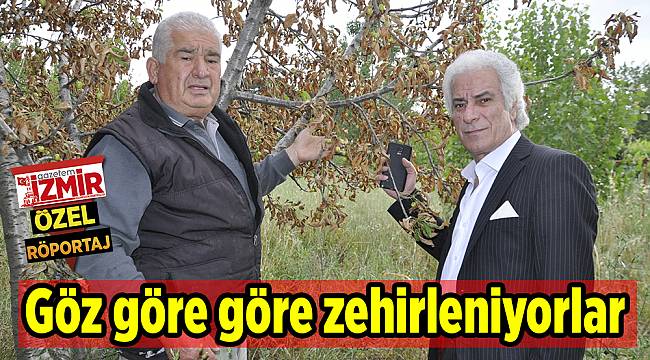 Göz göre göre zehirleniyorlar