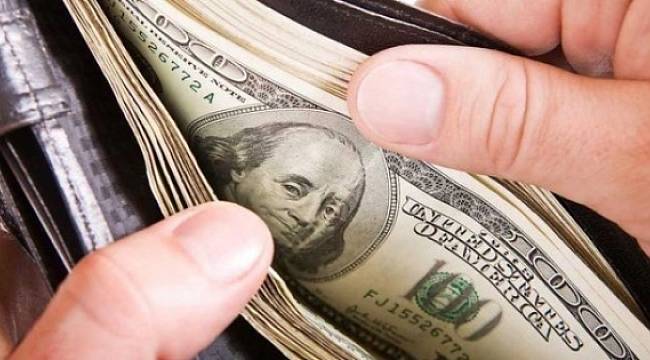 Hükümetten dolarla ilgili açıklama!