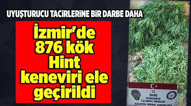 İzmir&#039;de 876 kök Hint keneviri ele geçirildi