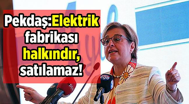 Pekdaş: Elektrik Fabrikası halkındır, satılamaz
