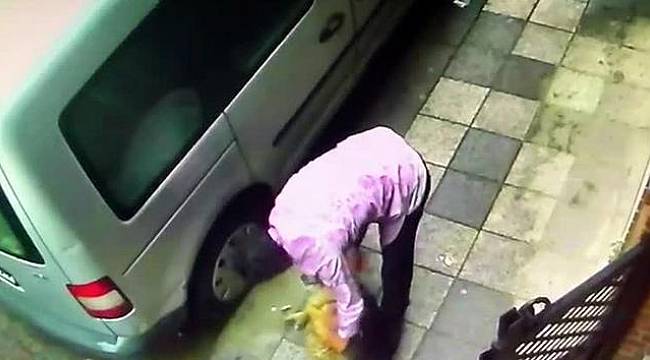 Bir köpeğe şiddet haberi daha!