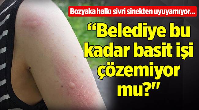 Bozyaka halkı sivri sinekten uyuyamıyor...