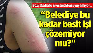 Bozyaka halkı sivri sinekten uyuyamıyor...