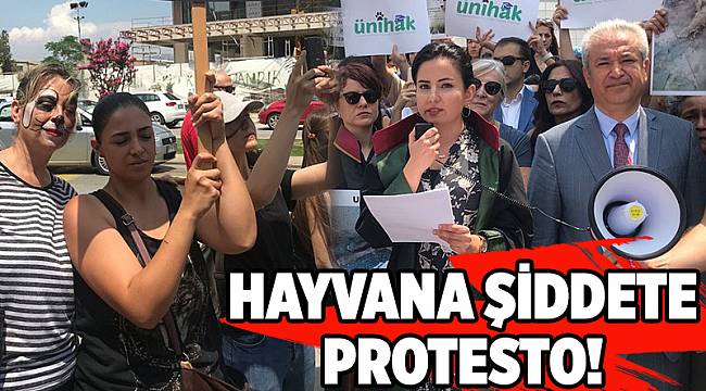 Hayvana şiddete protesto