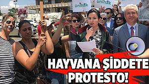 Hayvana şiddete protesto