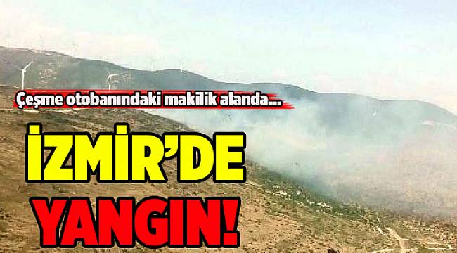 İzmir Çeşme otobanında yangın alarmı