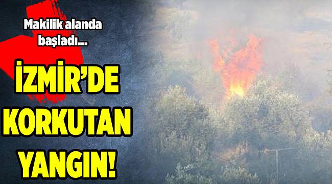 İzmir'de korkutan yangın! (06.06.2018)