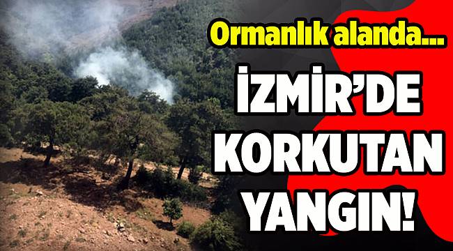İzmir'de korkutan yangın(15.06.2018)