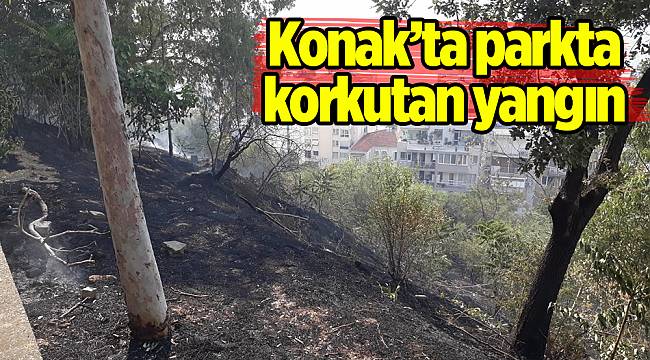 İzmir’de parkta korkutan yangın 