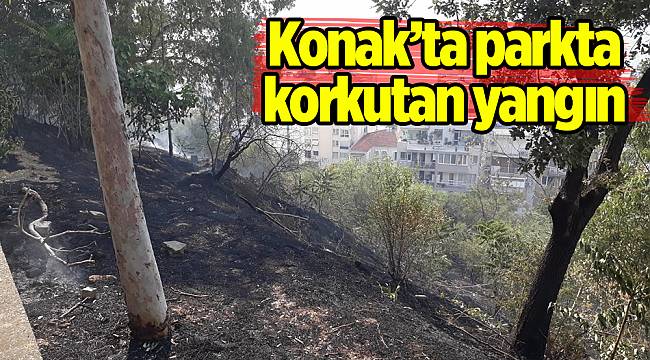 İzmir’de parkta korkutan yangın