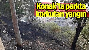 İzmir’de parkta korkutan yangın 