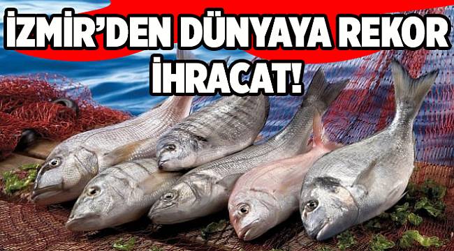 İzmir'den dünyaya rekor ihracat: İlk kez 1 milyar doları aştı