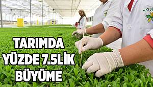 İzmir tarımında yüzde 7.5'luk büyüme