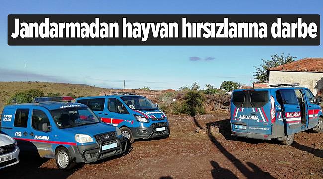 Jandarmadan hayvan hırsızlarına darbe