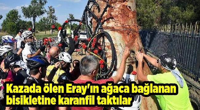 Kazada ölen Eray'ın ağaca bağlanan bisikletine karanfil taktılar