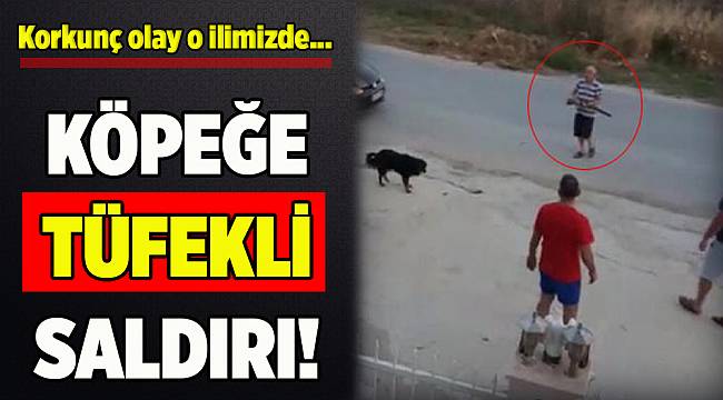 Köpeğe tüfekle saldırdılar