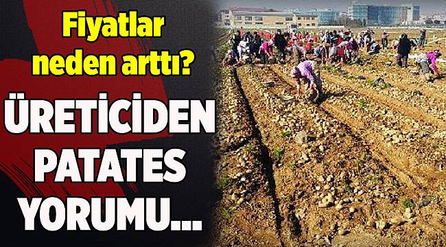 Ödemişli üreticiden 'patates' yorumu