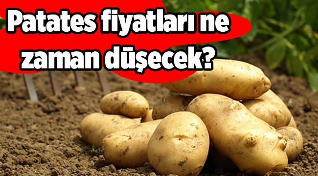 Patates fiyatları ne zaman düşecek?