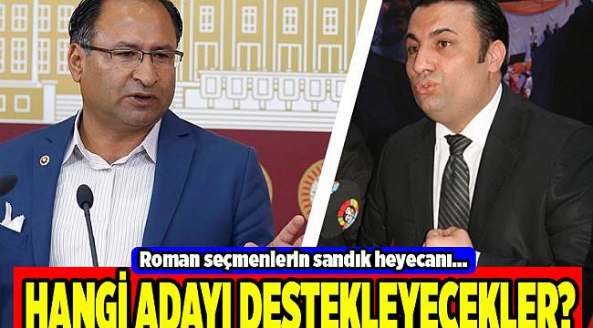 Romanlar meclise iki vekil taşımak istiyor